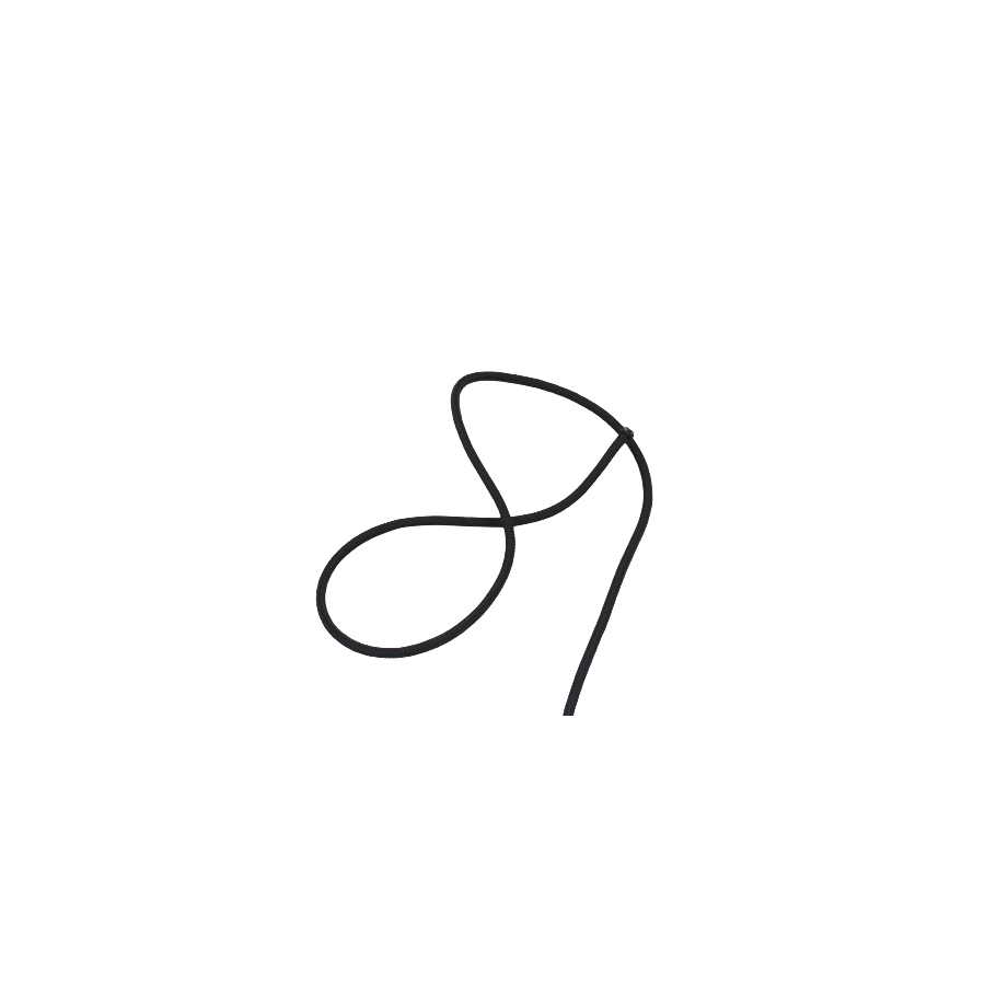 tresse polyester king rope