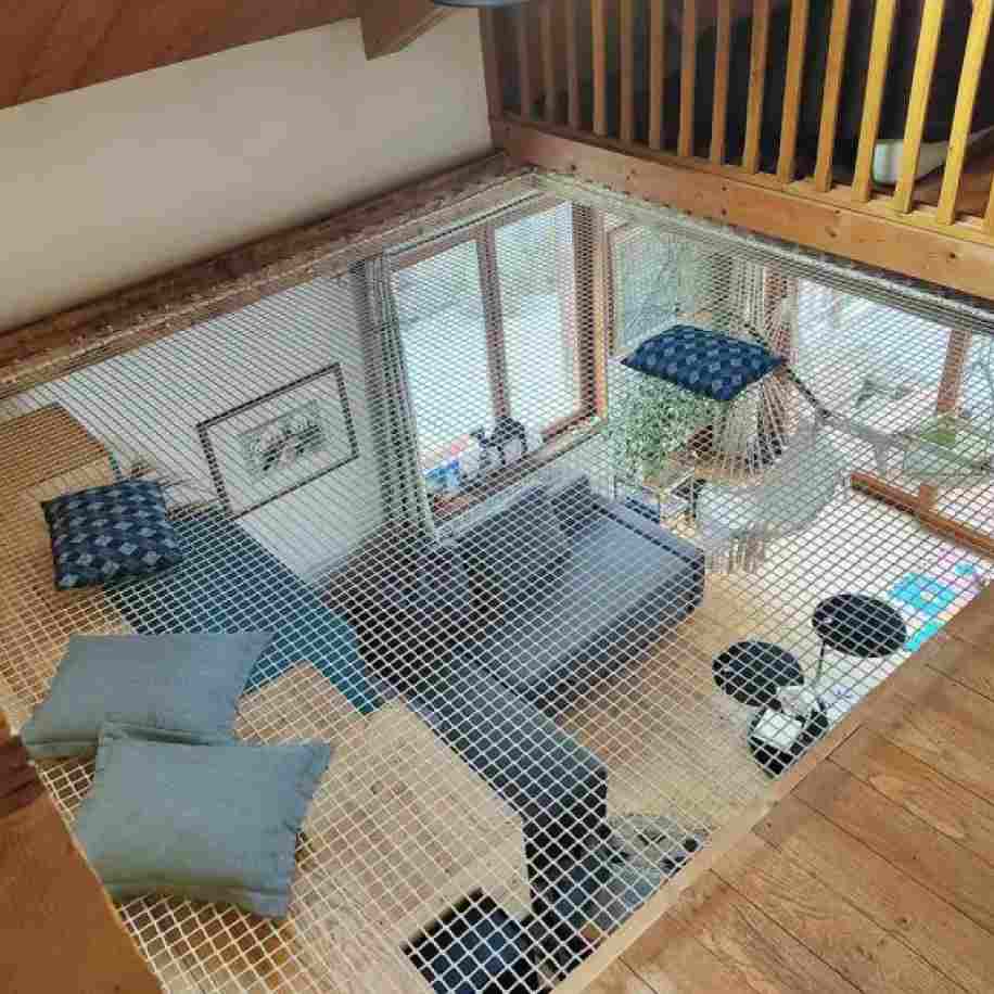 renovation pas cher