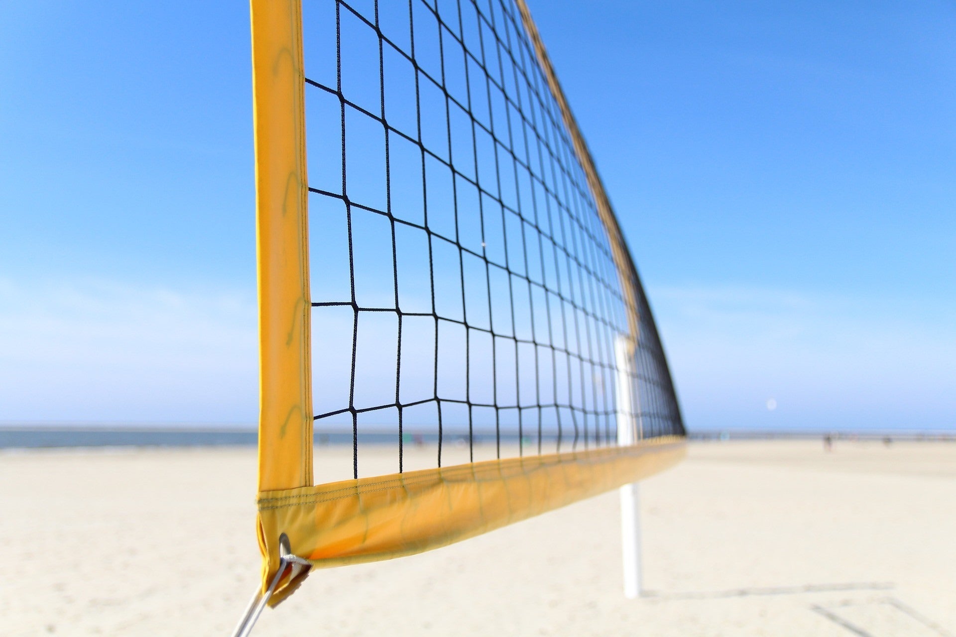 Filet de volley ball