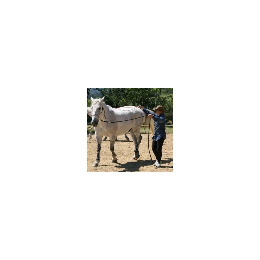 Longes et licols