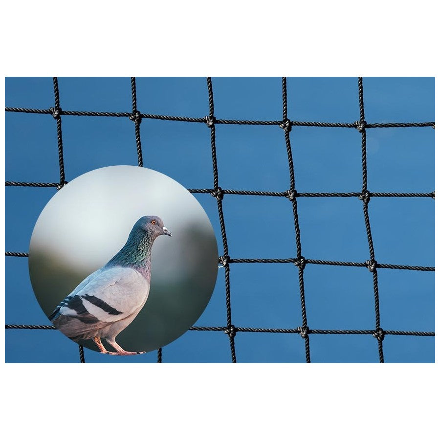 filet anti pigeon