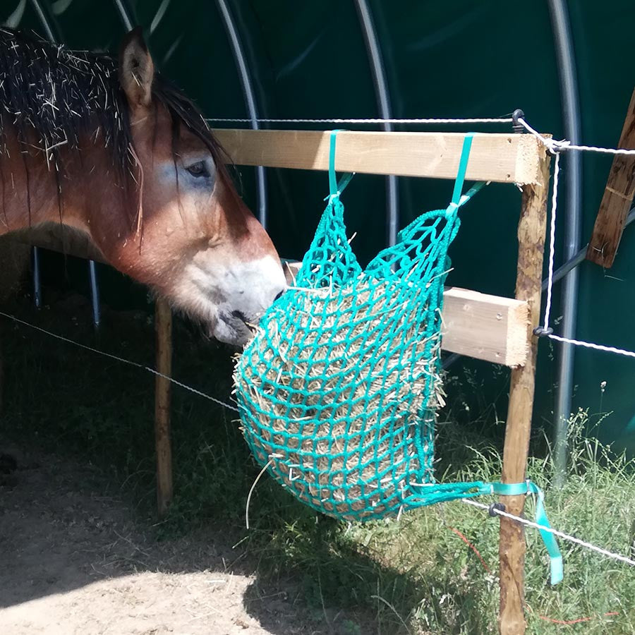 cheval qui mange avec un filet à foin