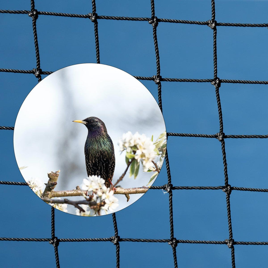 Filet anti-oiseaux mailles 28 mm câblées