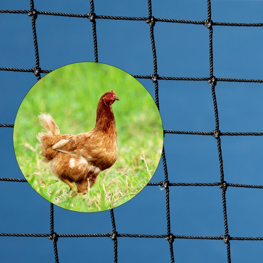 Filet de volière mailles 50mm pour poules