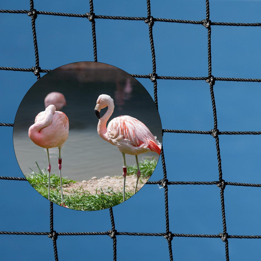 Filet de volière 145 mm grands oiseaux